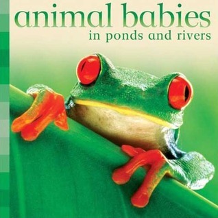 Animal Babies in Ponds and Rivers book cover