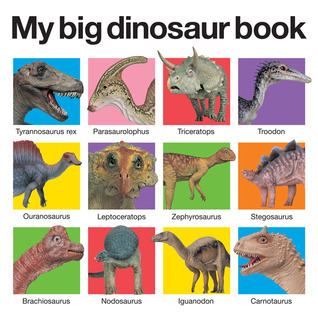 My Big Dinosaur Book book cover