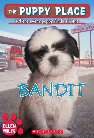 Bandit book cover