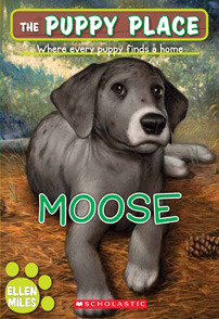 Moose book cover