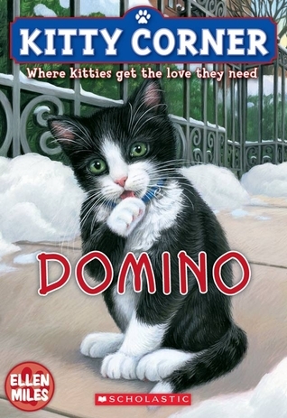 Domino book cover