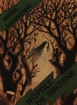 Nopțile de Sânziene book cover