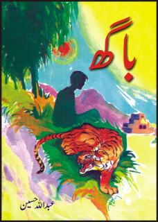 Baagh / باگھ