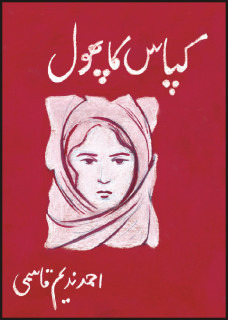 Kapas Ka Phool / کپاس کا پھول
