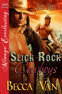 Slick Rock book cover 1