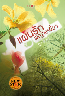 แผนรักพญาเหยี่ยว book cover