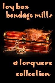 Toy Box book cover 2