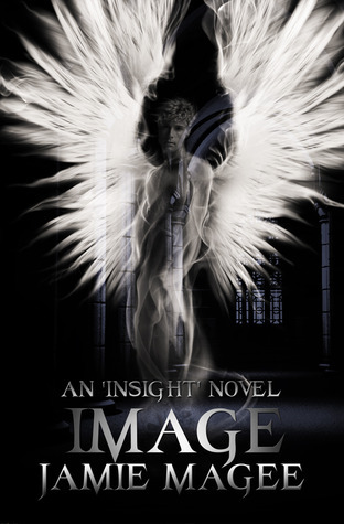 Insight book cover 3