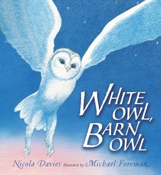 White Owl, Barn Owl book cover