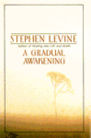 Cover of A Gradual Awakening