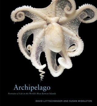 Archipelago book cover