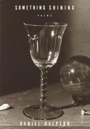 Something Shining book cover