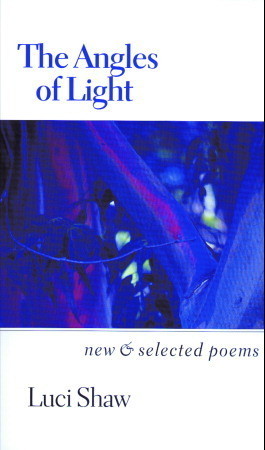 The Angles of Light book cover
