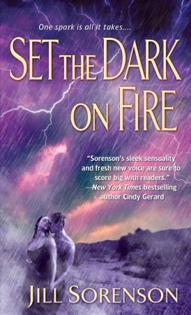Set the Dark on Fire book cover
