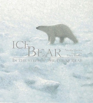 Ice Bear book cover