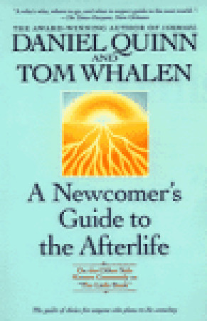 A Newcomer's Guide to the Afterlife book cover