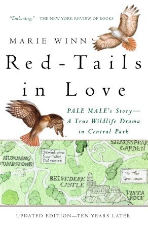 Red-tails in Love: Pale Male's Story—A True Wildlife Drama in Central Park