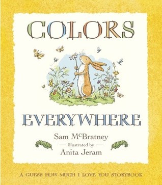 Colors Everywhere book cover