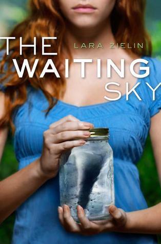 Cover of The Waiting Sky