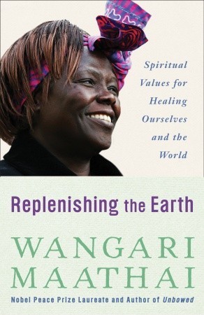 Replenishing the Earth book cover