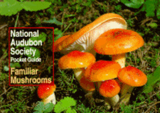 National Audubon Society Pocket Guide: Familiar Mushrooms (National Audubon Society Pocket Guides)