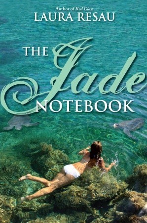 Notebook book cover 3