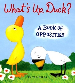 What's Up, Duck? book cover