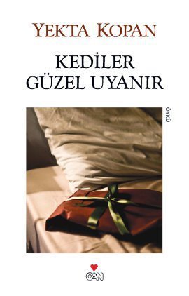 Kediler Güzel Uyanır book cover