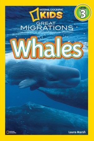 Great Migrations: Whales
