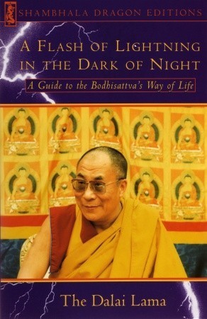 A Flash of Lightning in the Dark of Night book cover