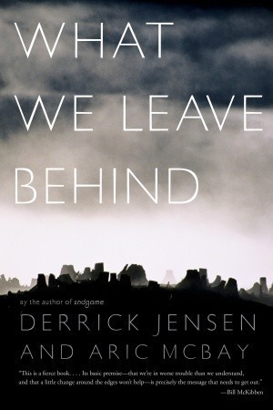 Cover of What We Leave Behind