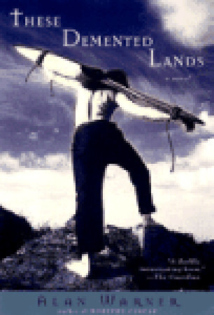 These Demented Lands book cover