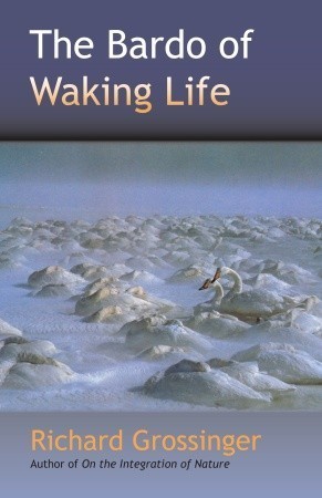 The Bardo of Waking Life book cover
