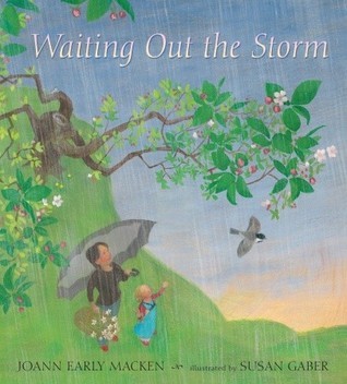 Waiting Out the Storm book cover