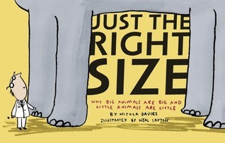 Just the Right Size book cover