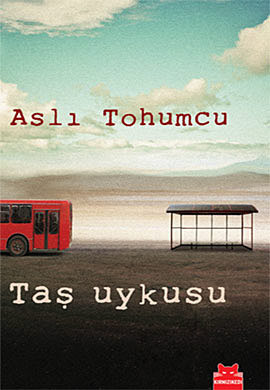 Taş Uykusu book cover