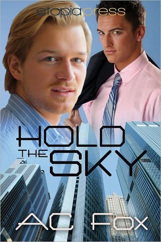 Hold the Sky book cover