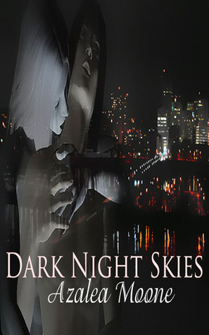 Dark Night Skies book cover