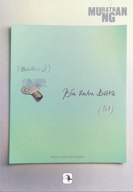 Bir Kutu Daha book cover