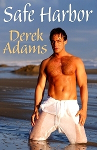 Safe Harbor book cover