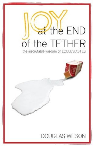 Joy at the End of The Tether book cover