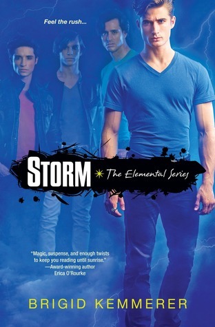 Storm book cover
