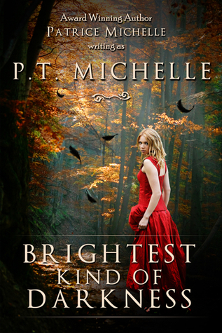 Brightest Kind of Darkness book cover 1