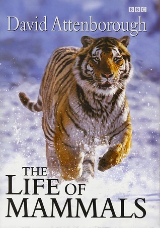 The Life of Mammals