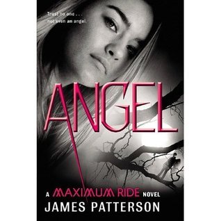 Angel (Maximum Ride, #7)