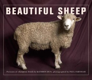 Beautiful Sheep cover