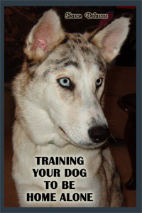 Training Your Dog to be Home Alone book cover