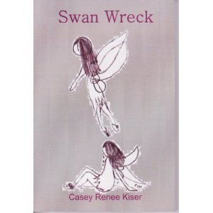 Swan Wreck book cover