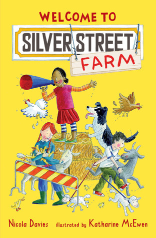 Silver Street Farm book cover 1