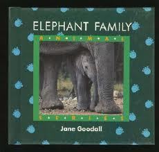 Elephant Family book cover